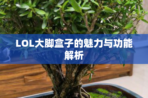LOL大脚盒子的魅力与功能解析图片