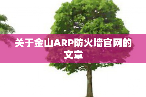 关于金山ARP防火墙官网的文章图片