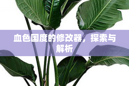 血色国度的修改器图片