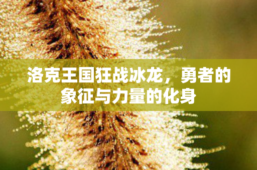勇者的象征与力量的化身图片