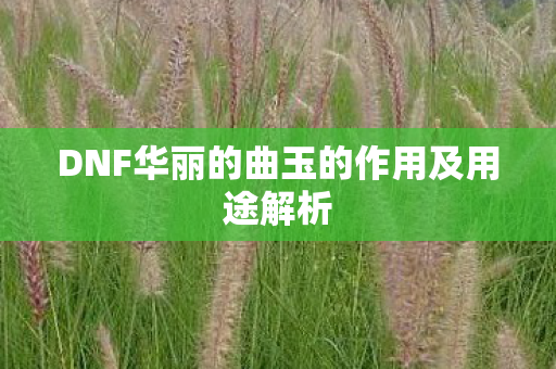 DNF华丽的曲玉的作用及用途解析图片