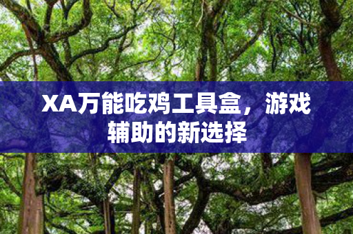 XA万能吃鸡工具盒图片