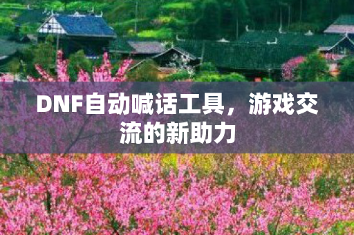 DNF自动喊话工具图片