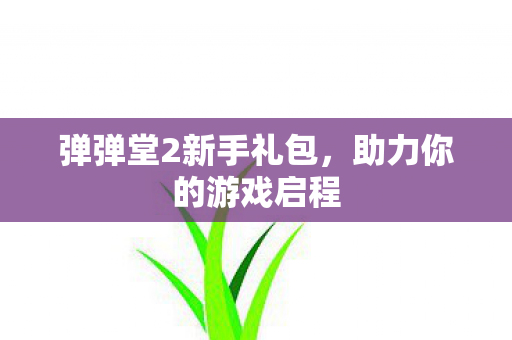 弹弹堂2新手礼包图片