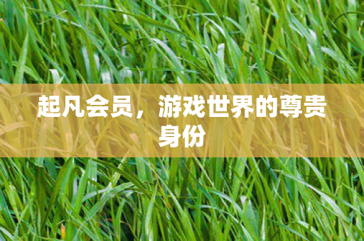 游戏世界的尊贵身份图片
