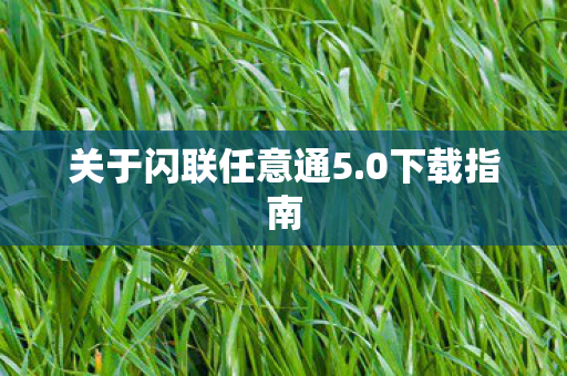 关于闪联任意通5图片