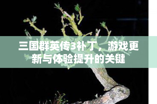 游戏更新与体验提升的关键图片
