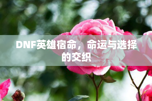 命运与选择的交织图片