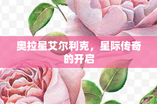 奥拉星艾尔利克图片