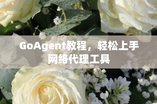 轻松上手网络代理工具图片