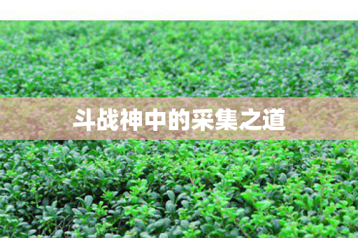 斗战神中的采集之道图片