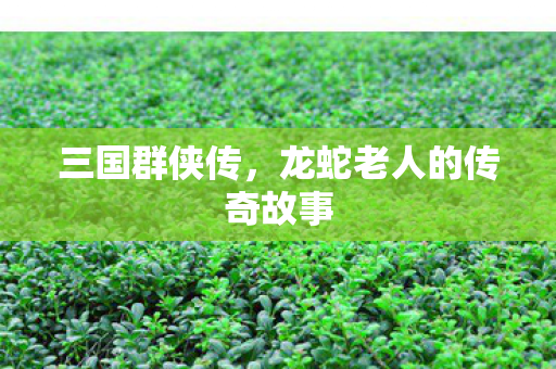 龙蛇老人的传奇故事图片
