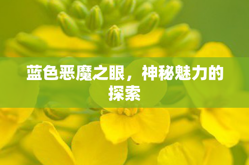 神秘魅力的探索图片
