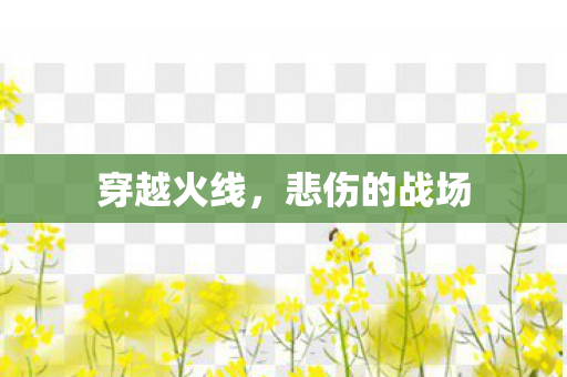 悲伤的战场图片