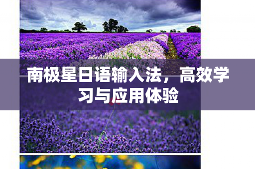 高效学习与应用体验图片