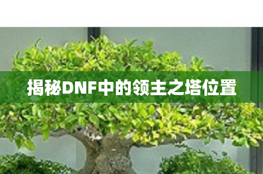 揭秘DNF中的领主之塔位置图片
