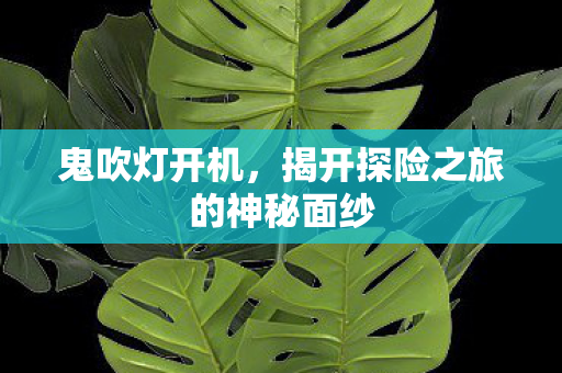 揭开探险之旅的神秘面纱图片