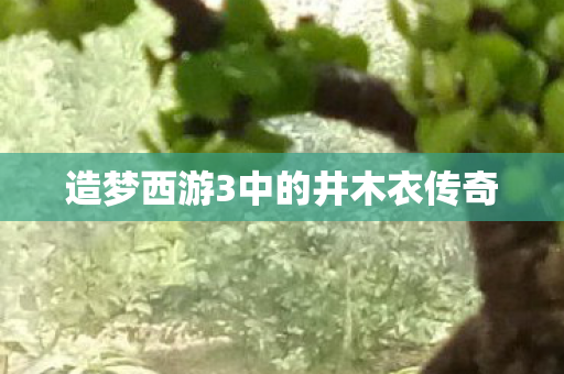 造梦西游3中的井木衣传奇图片