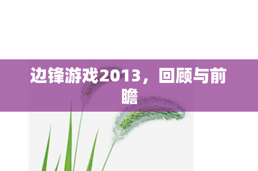 边锋游戏2013图片