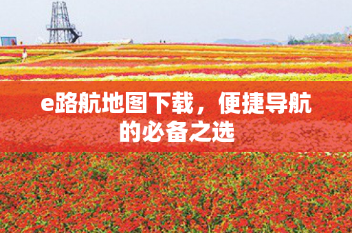 便捷导航的必备之选图片
