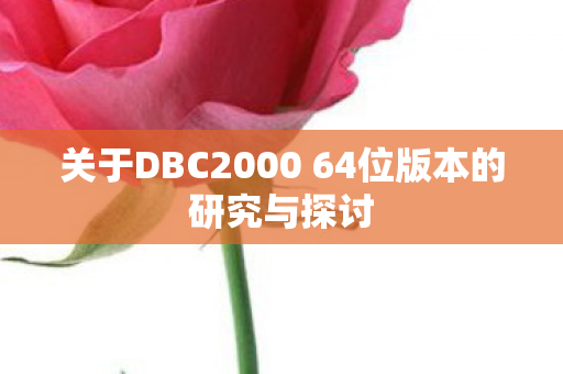 关于DBC2000 64位版本的研究与探讨图片