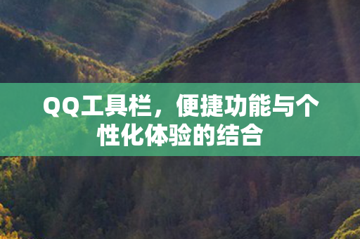 便捷功能与个性化体验的结合图片