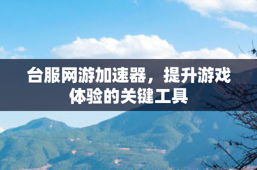 提升游戏体验的关键工具图片