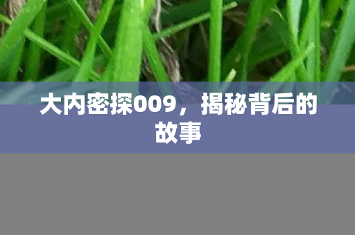 大内密探009图片