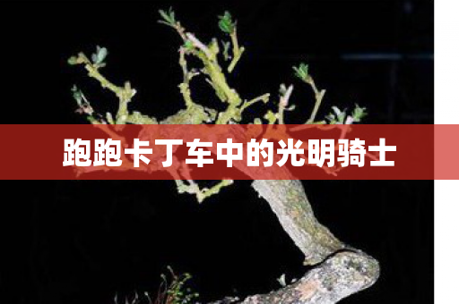 跑跑卡丁车中的光明骑士图片
