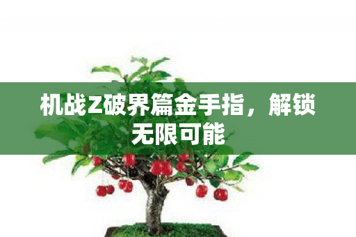 机战Z破界篇金手指图片