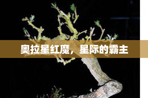 奥拉星红魔图片