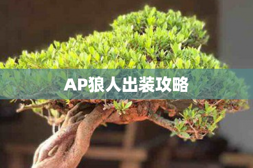 AP狼人出装攻略图片