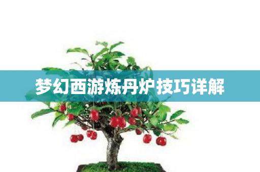梦幻西游炼丹炉技巧详解图片