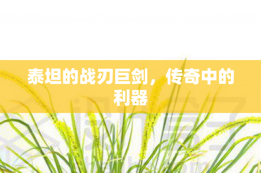 泰坦的战刃巨剑图片