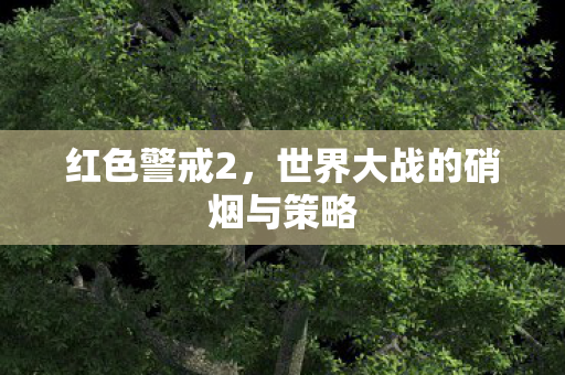 世界大战的硝烟与策略图片