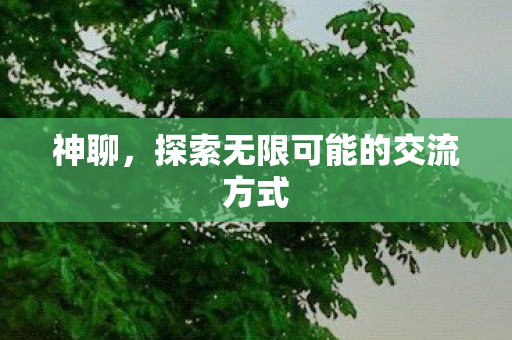 探索无限可能的交流方式图片