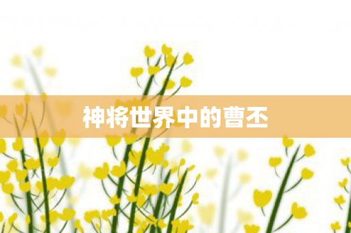神将世界中的曹丕图片