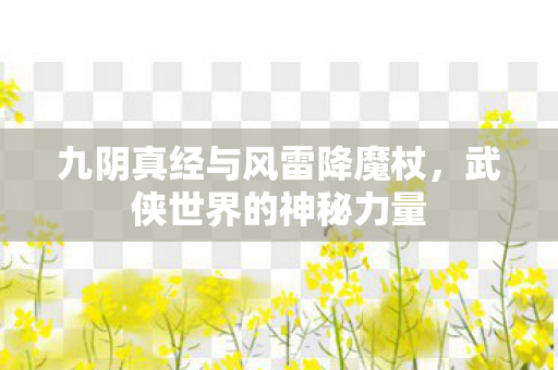 九阴真经与风雷降魔杖图片