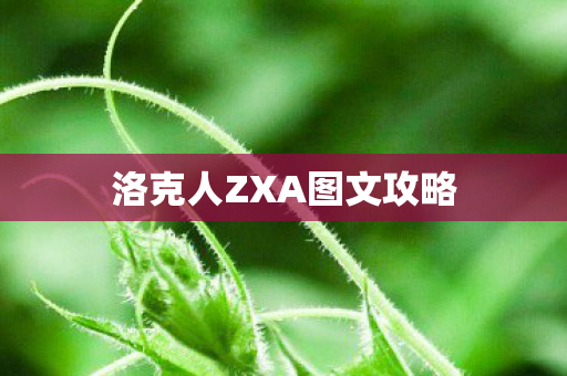 洛克人ZXA图文攻略图片