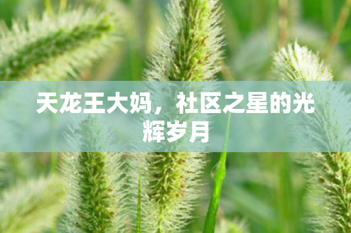 社区之星的光辉岁月图片
