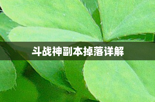 斗战神副本掉落详解图片