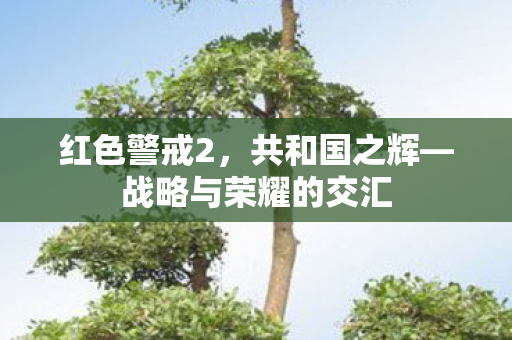 战略与荣耀的交汇图片