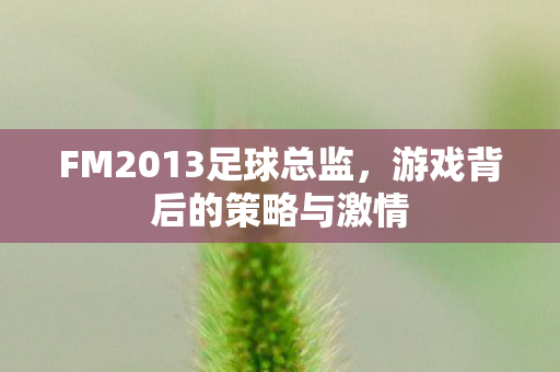 FM2013足球总监图片