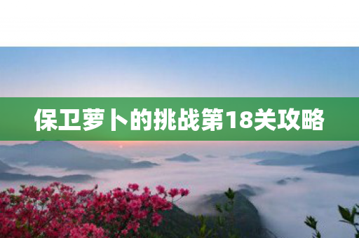 保卫萝卜的挑战第18关攻略图片