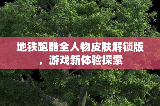 地铁跑酷全人物皮肤解锁版图片