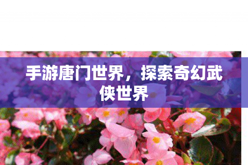 探索奇幻武侠世界图片