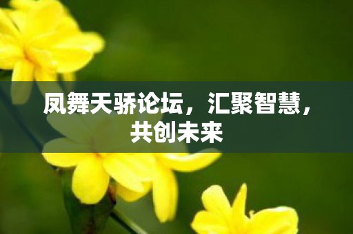 凤舞天骄论坛图片