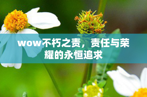 责任与荣耀的永恒追求图片