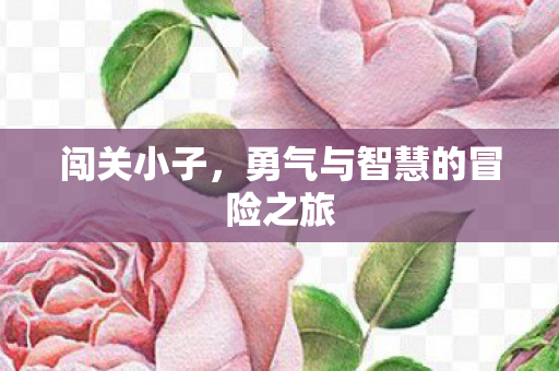勇气与智慧的冒险之旅图片