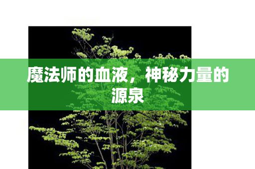神秘力量的源泉图片